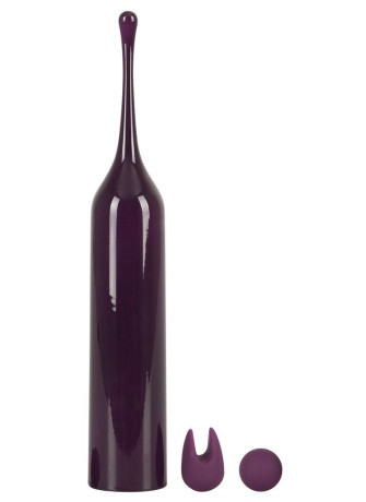 Spot Vibrator with 2 tips